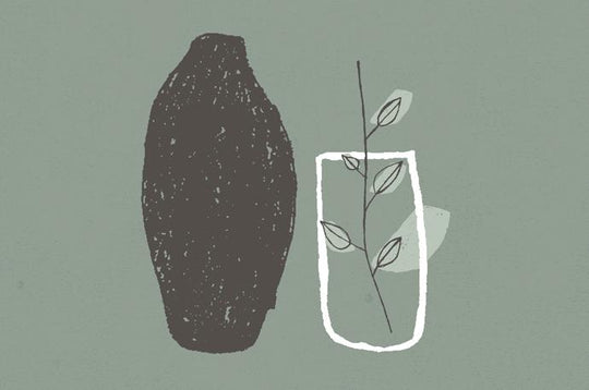 Green Tea for better sports performance